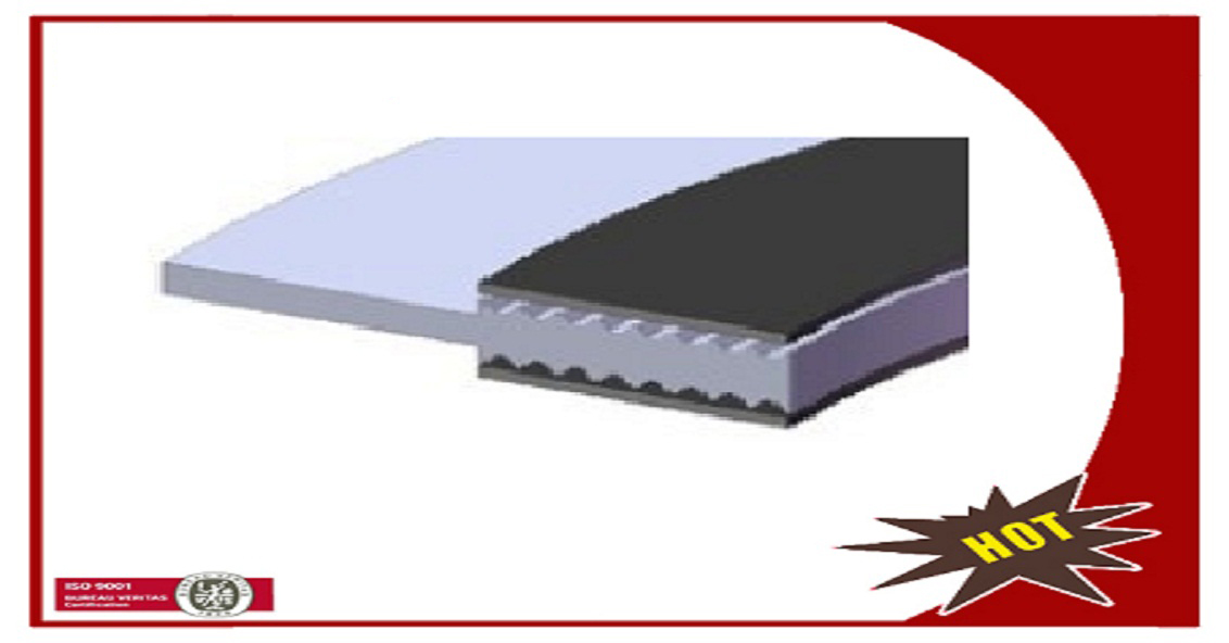 Kammprofile Gasket with Integral Outer Ring